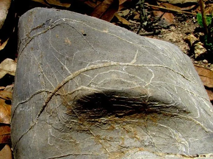 Fracture (geology) Image